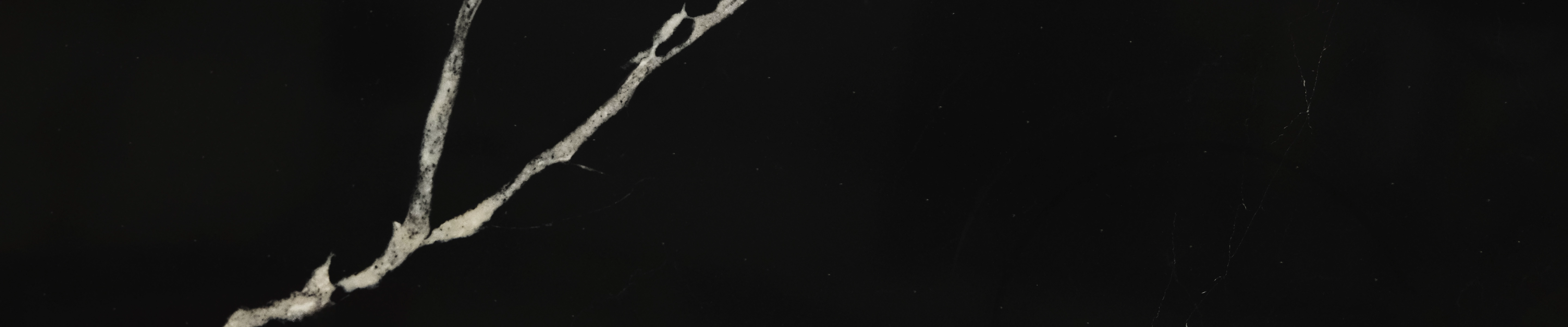 NERO MARQUINA полированный