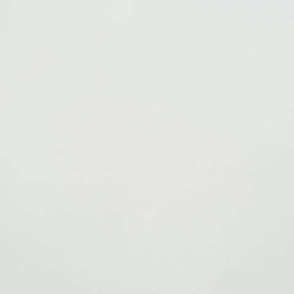 ARTIC SNOW BQ200 полированный