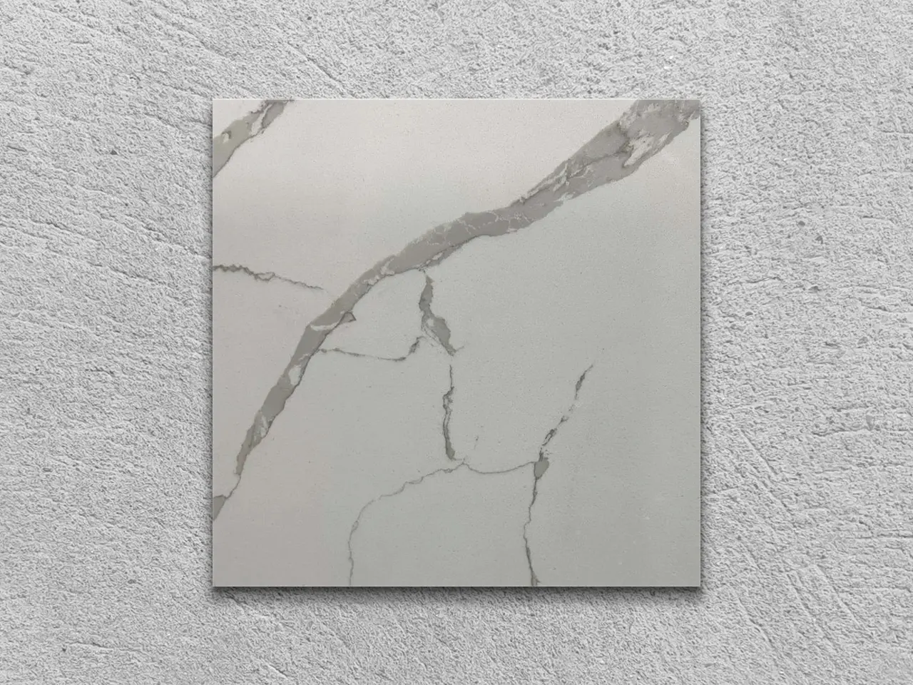 CALACATTA TREE полированный 100x100x20 мм, код 26109