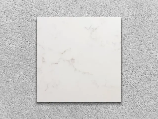 BIANCO VENATINO полированный 100x100x20 мм, код 25640