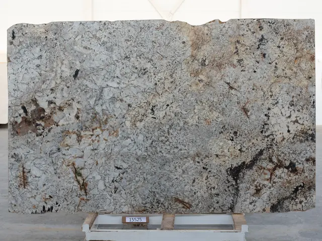 Слэб из гранита DELICATUS WHITE 3220x2000x30 мм, код 15525