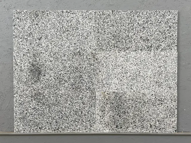 Плитка из гранита BELLA WHITE 600x300x20 мм, код 1143