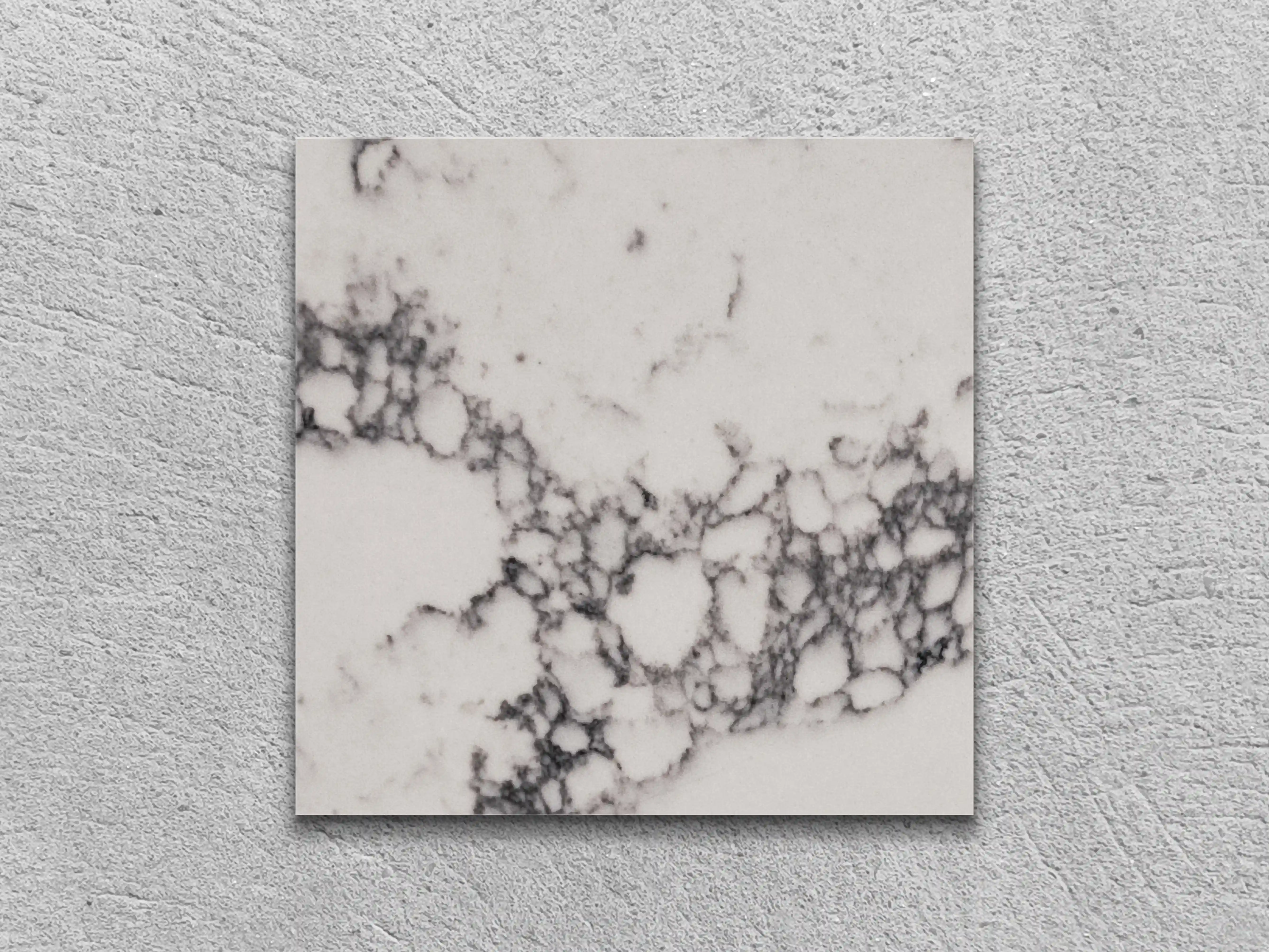 STATUARIO NG полированный A80 100x100x20 мм, код 28986