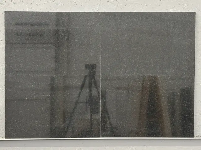 Плитка из гранита GABBRO DIABASE 600x400x20 мм, код 28789