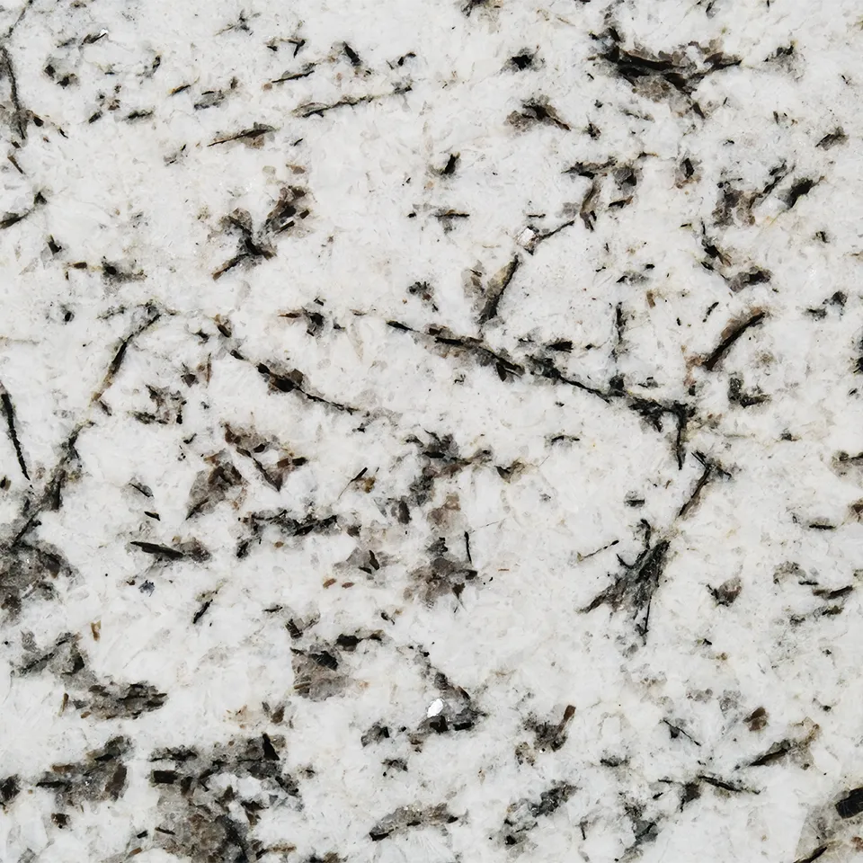 Гранит INFINITY WHITE полированный