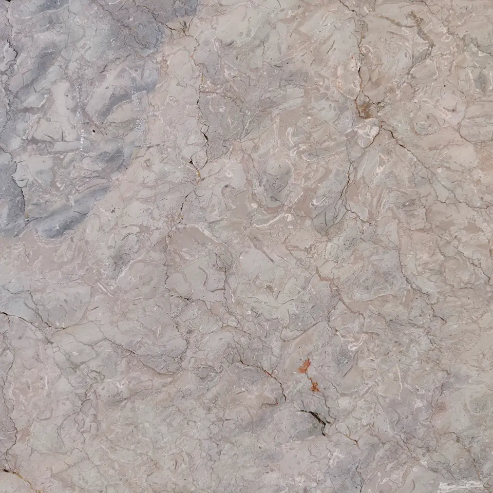 Мрамор SHELLS REEF BEIGE полированный