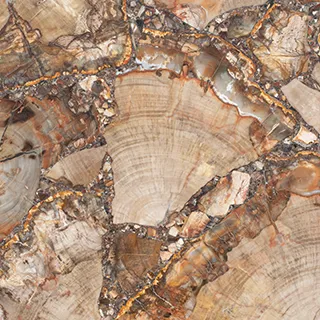 Эксклюзив BROWN PETRIFIED WOOD полированный