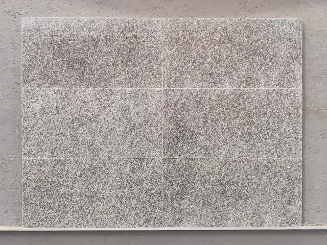 Плитка из гранита SESAM NEW полированный 600x300x18 мм, код 23936