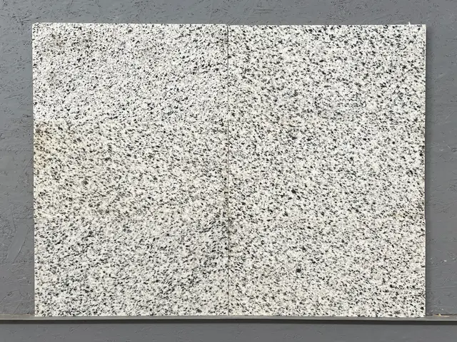 Плитка из гранита BELLA WHITE NEW полированный 600x300x18 мм, код 15069