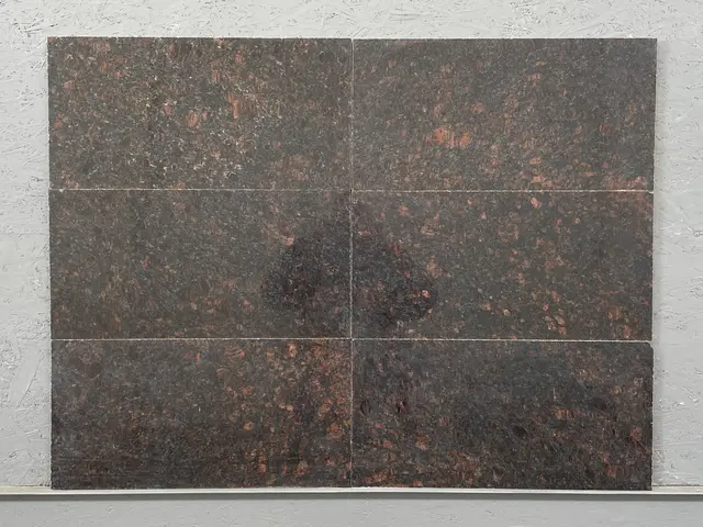 Плитка из гранита TAN BROWN полированный 600x300x18 мм, код 3073