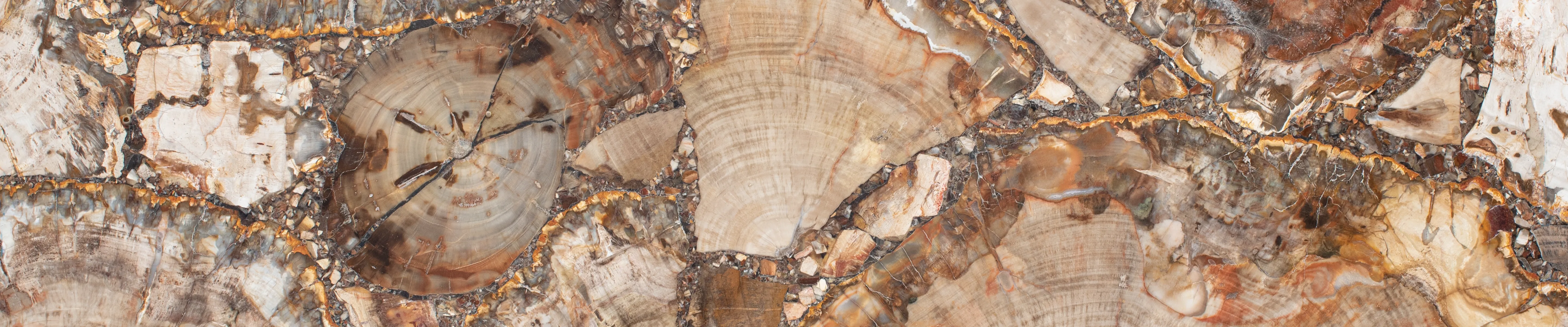 Эксклюзив BROWN PETRIFIED WOOD полированный