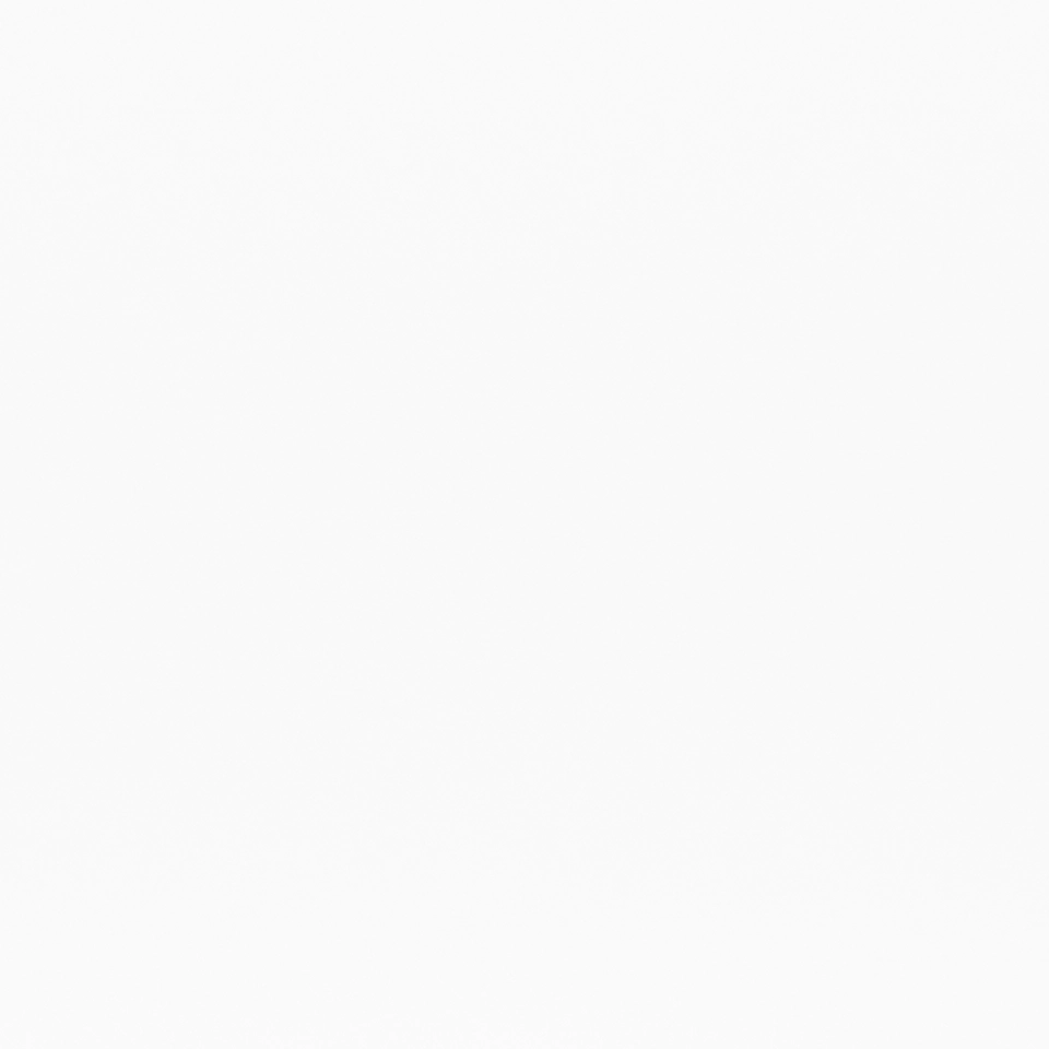 IVORY WHITE 100 полированный