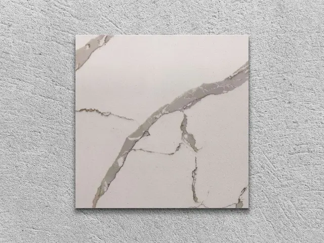 CALACATTA TREE полированный 100x100x20 мм, код 26108