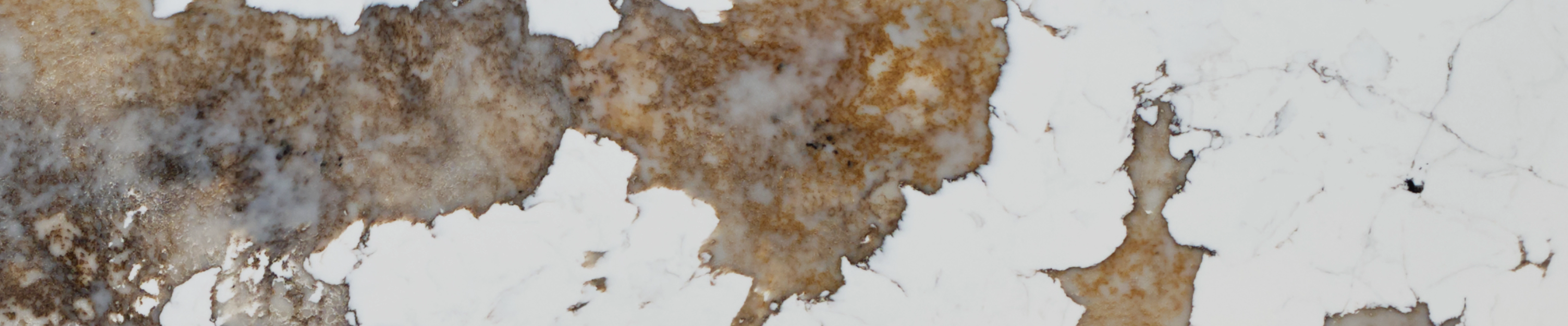 PATAGONIA 312 полированный