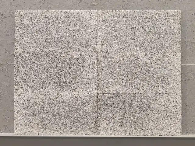 Плитка из гранита BELLA WHITE 600x300x18 мм, код 4660