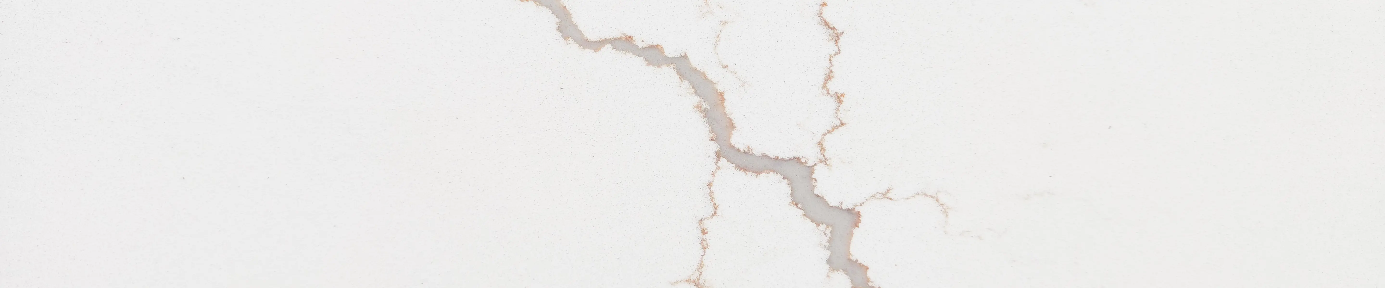 THISTLE GLORY GRAYISH полированный