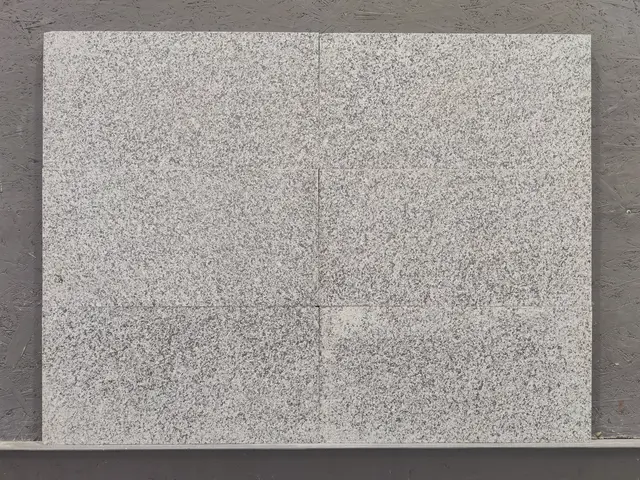 Плитка из гранита SESAM NEW термообработанный 600x300x18 мм, код 23527