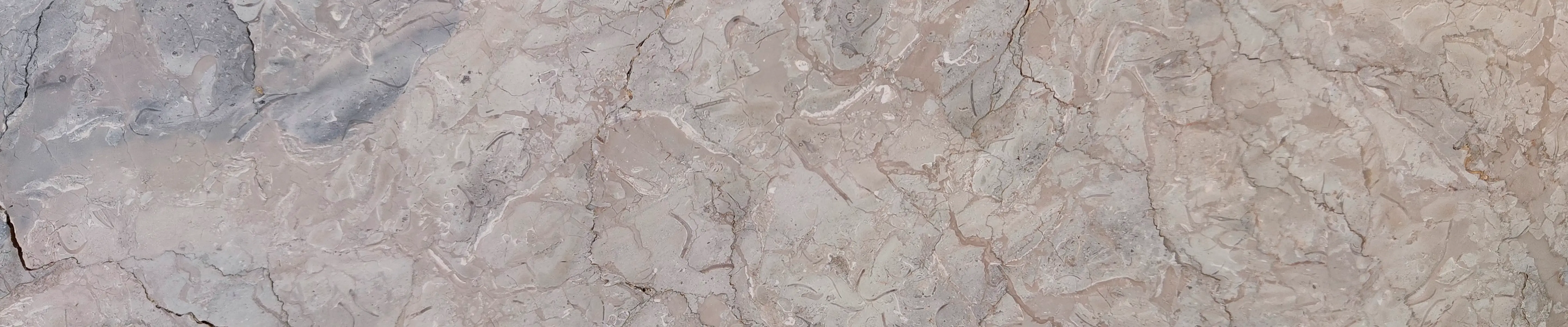 Мрамор SHELLS REEF BEIGE полированный